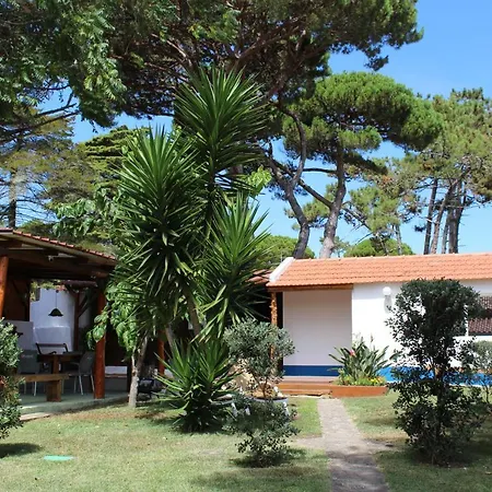 Casinha Do Pinhal Коларес