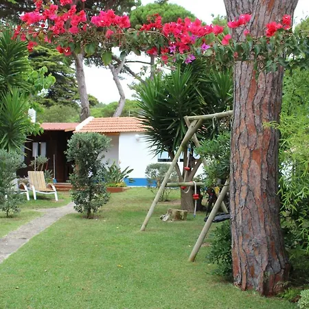 Feriehus Casinha Do Pinhal Colares