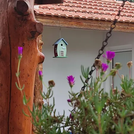 Nyaraló Casinha Do Pinhal