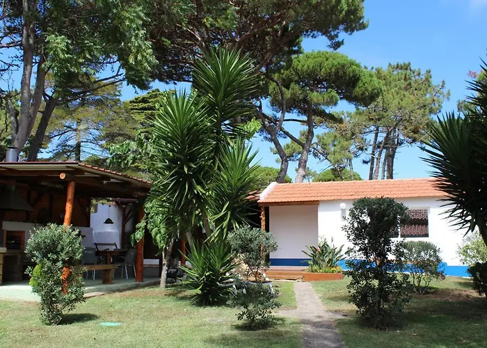 Casinha Do Pinhal קולארס