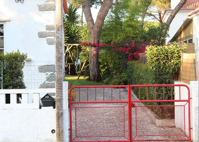 Casinha Do Pinhal קולארס