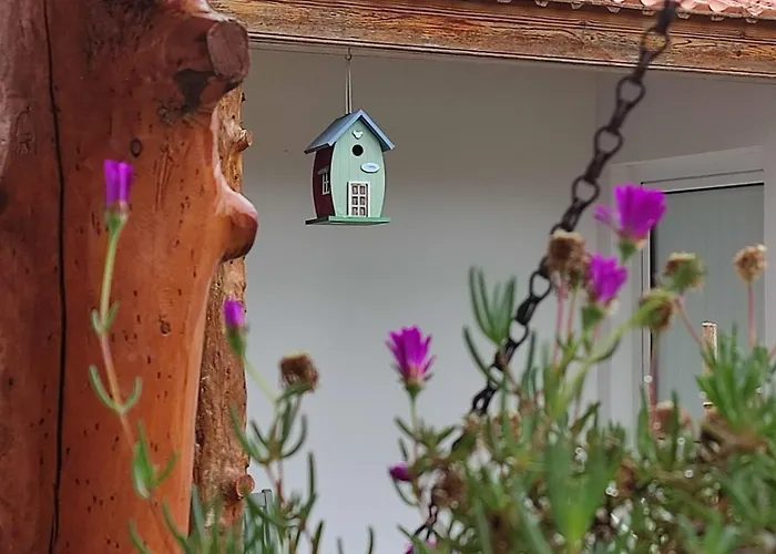 בית נופש Casinha Do Pinhal